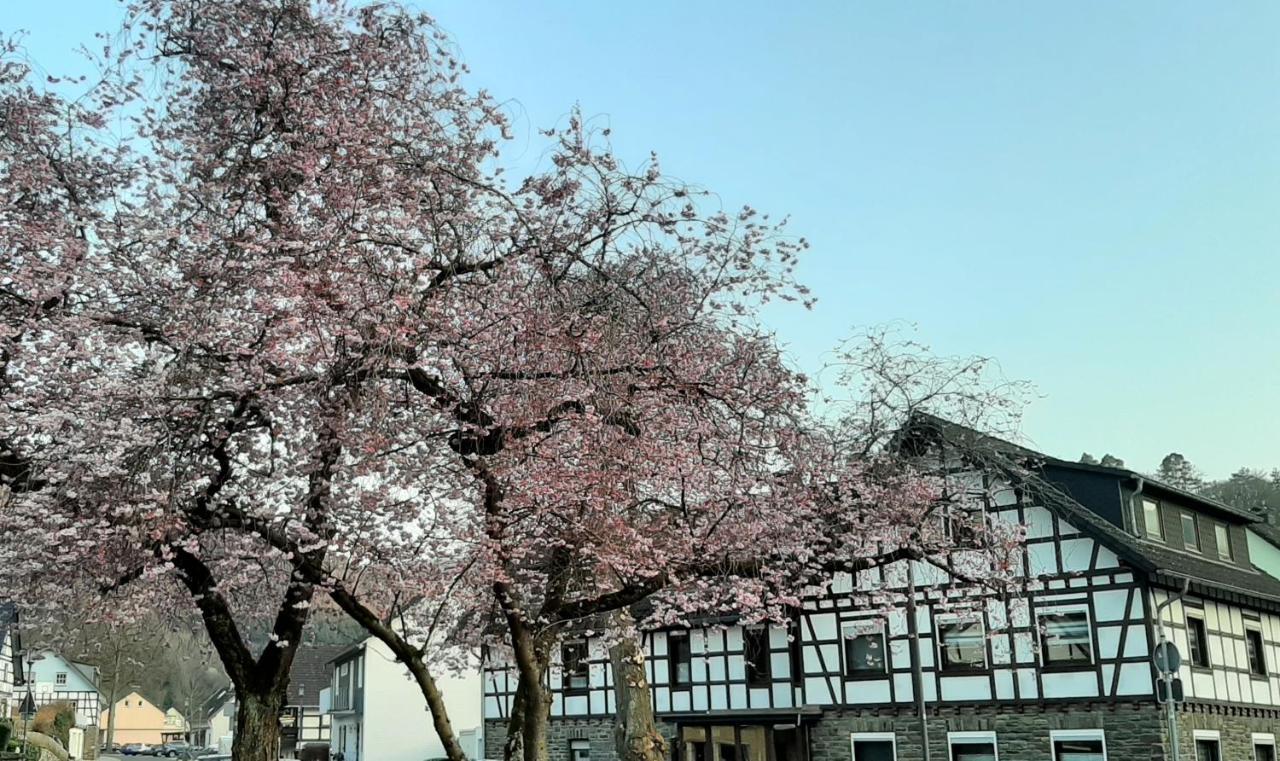 Vivanatura Eifelferienhaus 아인루어 외부 사진